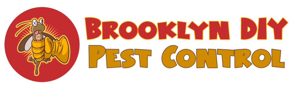 Brooklyn DIY Pest Control