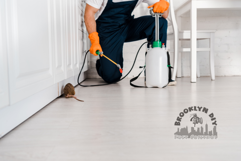 DIYer applying eco-friendly rodent treatment inside Brooklyn home using professional-grade equipment.